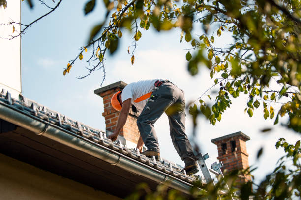Best Gutter Installation and Roofing  in Fairview, NJ